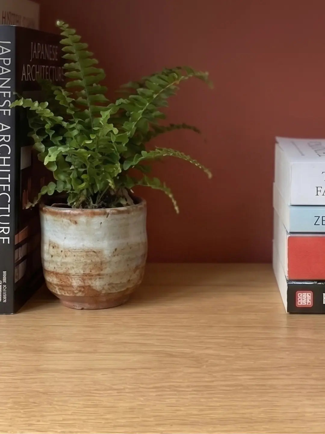 Warm wooden bookshelf with upright architecture and history books, a fern in a ceramic pot and a stack of books, the shelf setting used to display a mini mosque building blocks model (mobile copy)